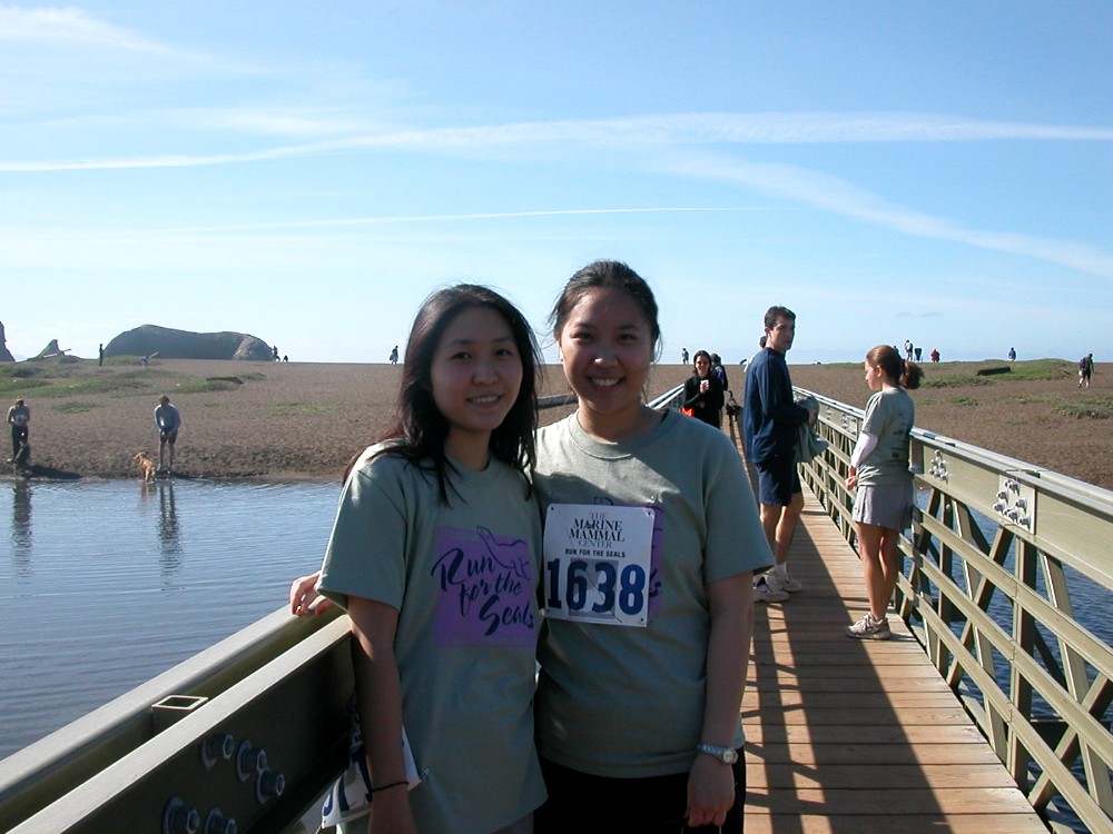 Run for the Seals